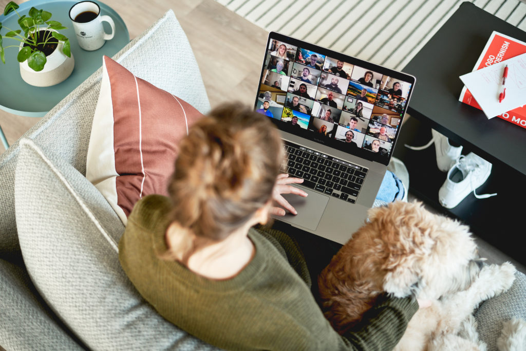 girl on a company zoom call meeting sitting on her couch with her dog