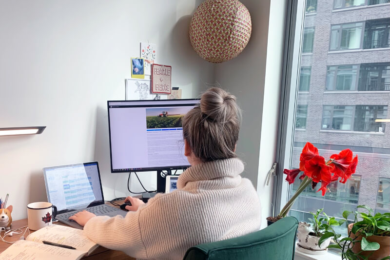 RD-ML-platform a metrostar employee doing government research and development at their working from home office near a window