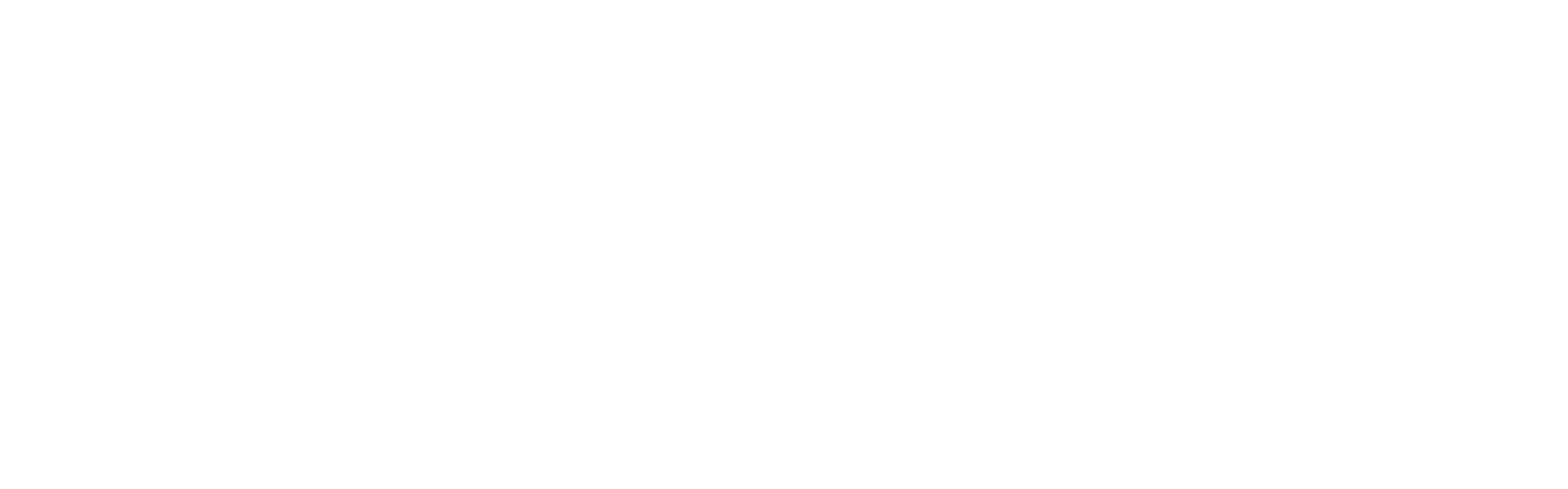 MetroStar Logo