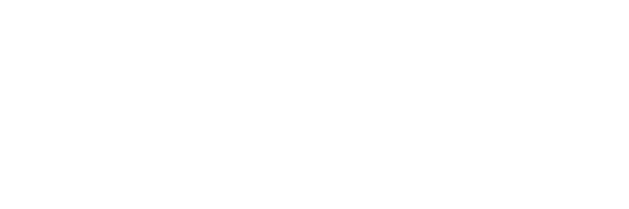 IRIS Product Logo