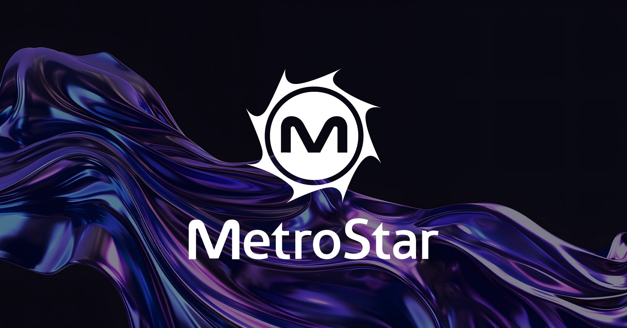 MetroStar Systems LLC